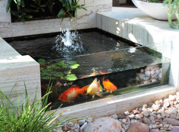 Aquarium outdoor dengan desain teras dan kolam ikan koi